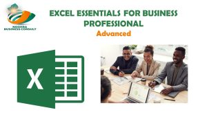 MICROSOFT EXCEL FOR BUSINESS PROFESSIONAL-ADVANCED