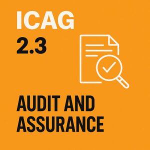 Audit and assurance