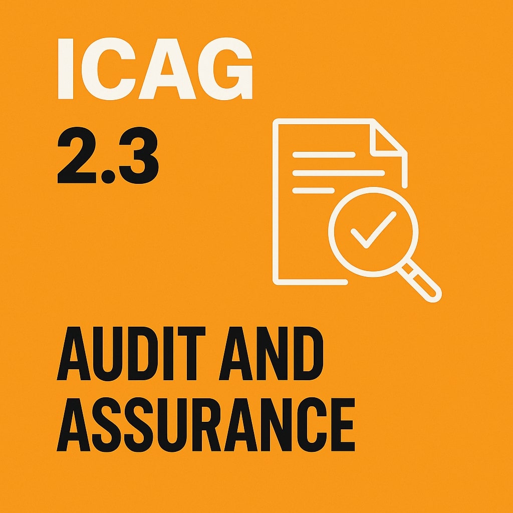 Audit and assurance