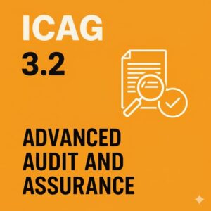 3.2 Advanced Audit and Assurance