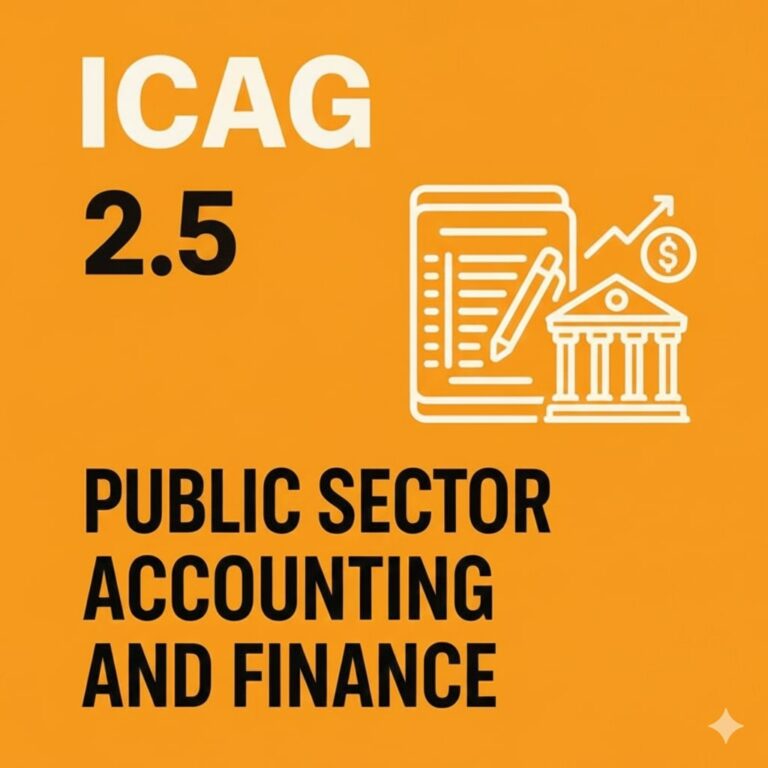 2.5 Public Sector Accounting and finance