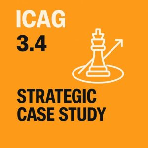 3.4 STRATEGIC CASE STUDY